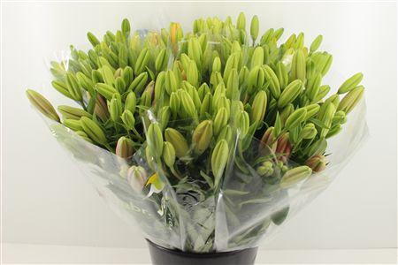 <h4>Boeket Mono Lelie Mix</h4>