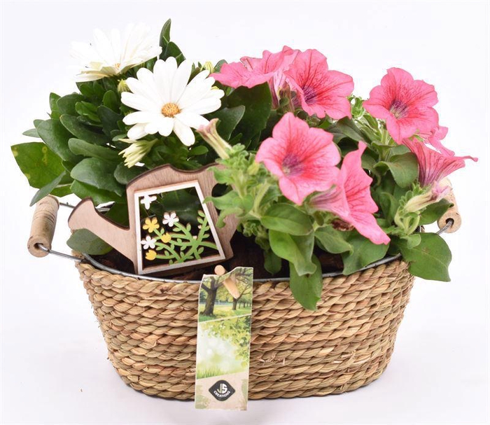 <h4>Touw met zink schaal ovaal 21x14cm</h4>