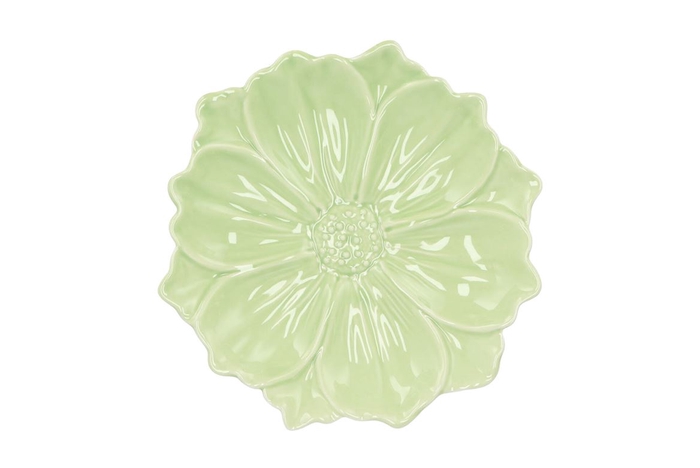 <h4>Bloom Cosmea Plate Green 24x24x4cm</h4>