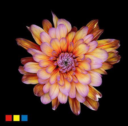 <h4>Chr T 2 Kl Baltica Aruba</h4>