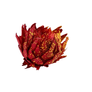 Dried Artz Cynara Heads Dali