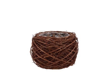 <h4>Nature Elm Branch Brown Planter With Bottom 11x8cm</h4>
