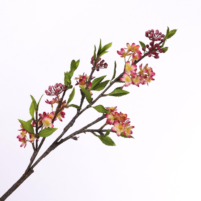 <h4>Jasminum Spray Beauty FL440252BEA</h4>