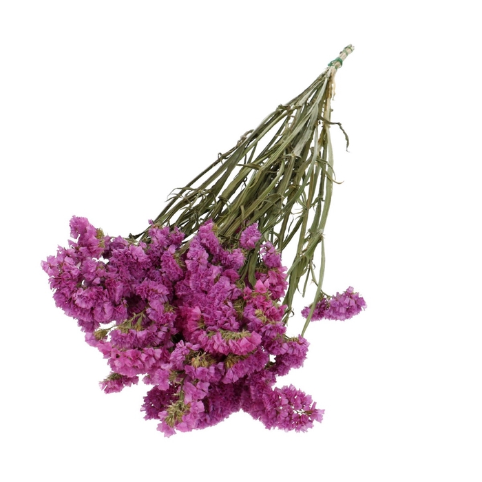 Dried flowers Limonium statice 70cm