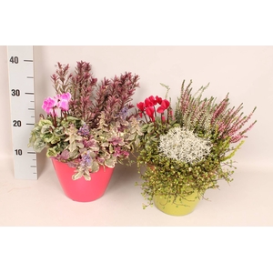 Arr 21 Arrangementen Najaarsmix