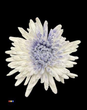 <h4>Chr G Marshmallow Purple</h4>