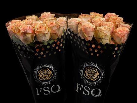 <h4>R Gr Desert Rose</h4>