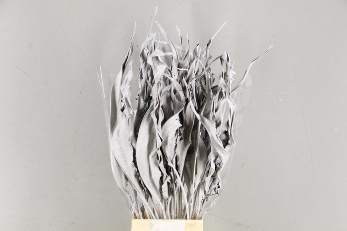<h4>DF Strelitzia Leaf White</h4>