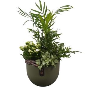 PTIB5146 Arrangement Indoor in keramiek pot