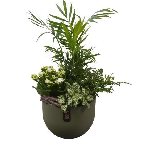 <h4>PTIB5146 Arrangement Indoor in keramiek pot</h4>