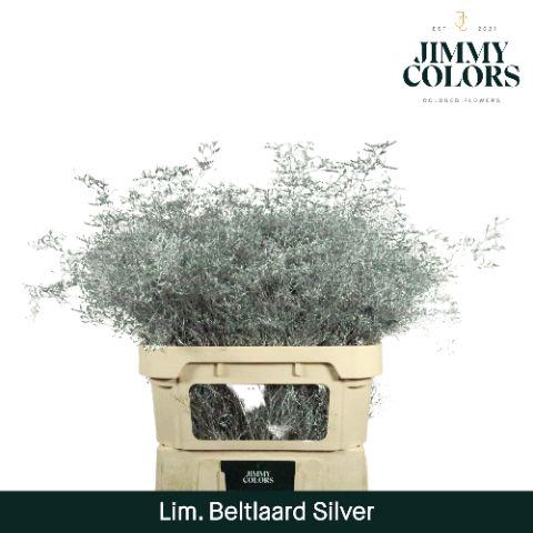 <h4>Lim Bel L90 Metallic silver</h4>