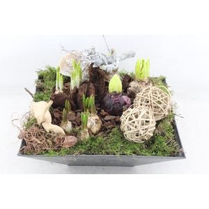 arr4 Bollenmix VL - Kunstst. 4kant 338/2