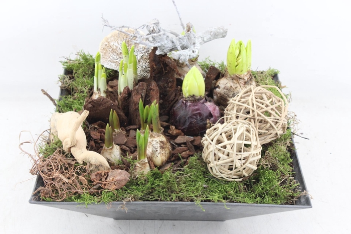 <h4>arr4 Bollenmix VL - Kunstst. 4kant 338/2</h4>