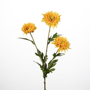 AF Aster x3 L73cm yellow