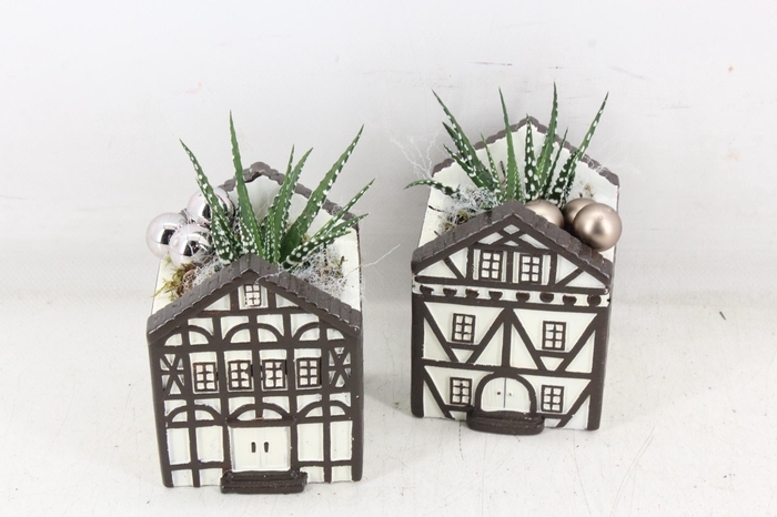 <h4>arr3 SN - Casa saxon kl.</h4>