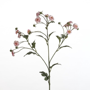 AF Tanacetum spray L65cm pi