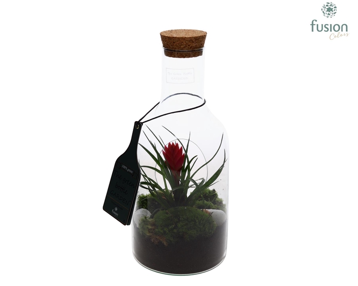 <h4>Green Bottle Fles Small met Tillandsia</h4>