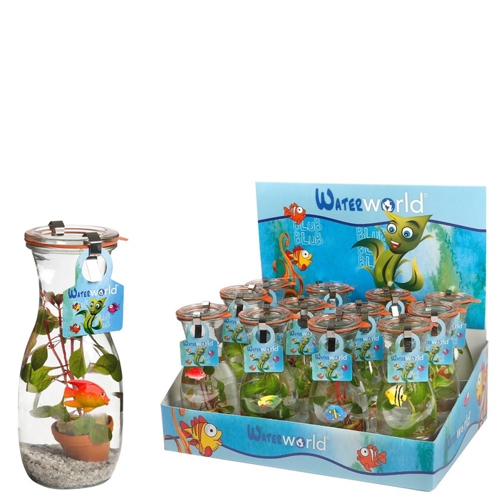 <h4>AQUARIUMPLANTEN GEM</h4>