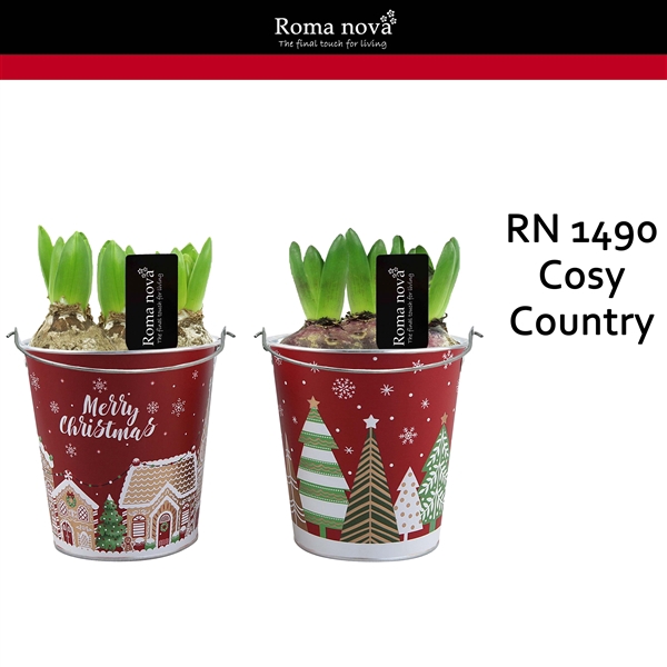 <h4>Arrangementen Hyacinthus 6%</h4>