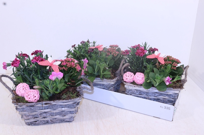 <h4>ARR TUINPLANTEN</h4>