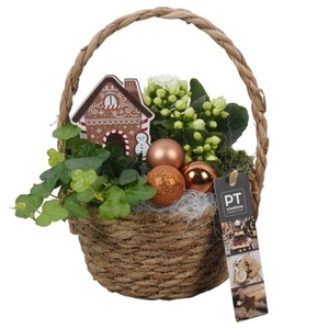 PTCHB9796 Arrangementen Kerst