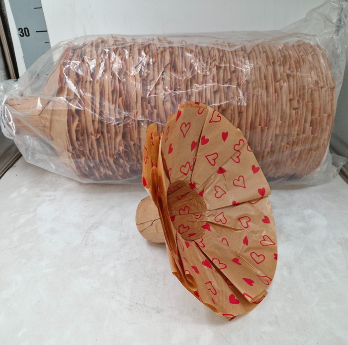 <h4>BOEKETHOUDER H%</h4>