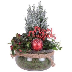 Christmas Arr. Outdoor Glass Bowl with Rope Ø20cm 3PP