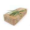 T-grass Groen 60cm