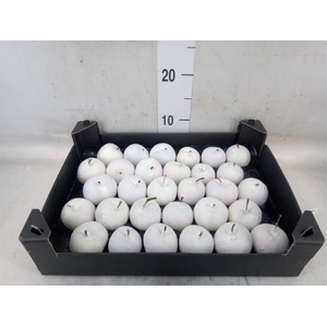 Decoratieve materialen   ...H%