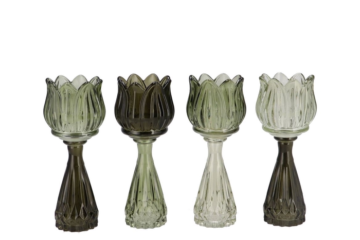 <h4>Bicolore Summer Green Mix Tulip Vase Ass 7x18cm</h4>