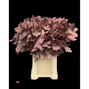 Eikeblad Frosted Coral 80cm