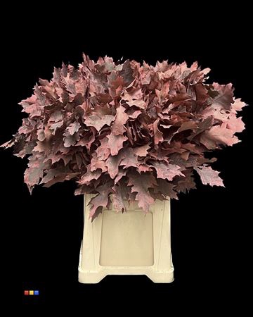 Eikeblad Frosted Coral 80cm