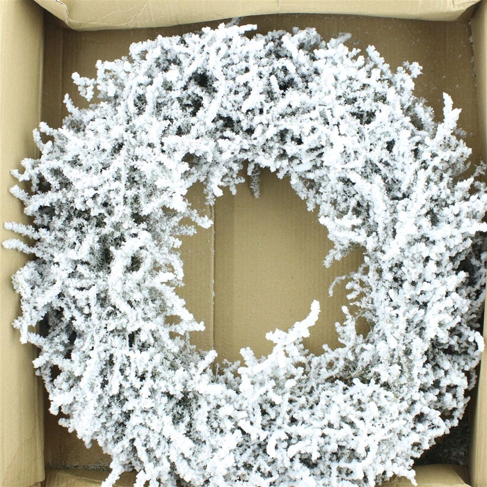 <h4>Wreath Asparagus Snow 60cm</h4>
