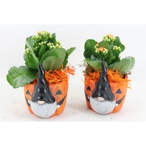 arr2 JS - Ker. pot halloween decor x8