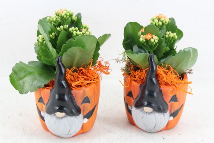 <h4>arr2 JS - Ker. pot halloween decor x8</h4>