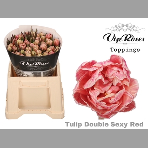 TU DU DOUBLE SEXY RED