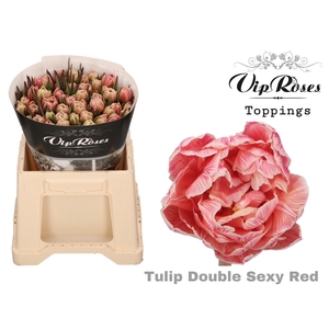 Tu Du Double Sexy Red