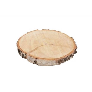 Birch Slice Rnd D28-32