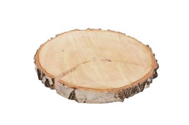 Birch Slice Rnd D19-22