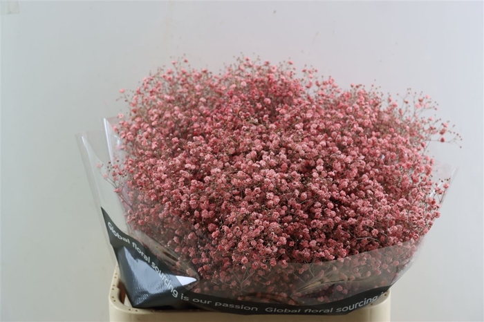 <h4>Gyps Grof Pink (dip)</h4>