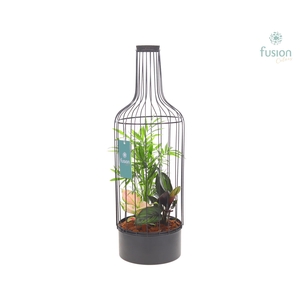 Metaal fles zwart Large met Trendy planten