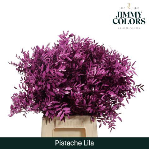 <h4>Pistache L50 Lila</h4>
