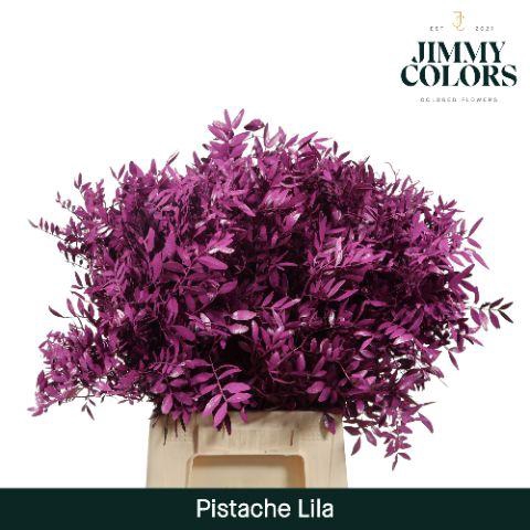 <h4>Pistache L50 Lila</h4>