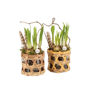 70594: Easter arrangement