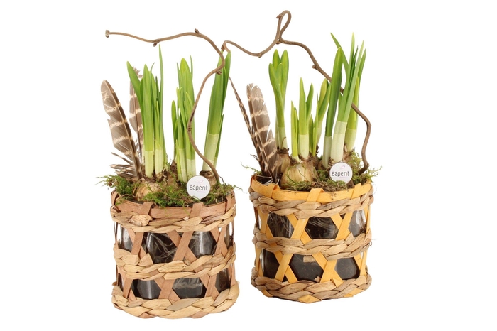 <h4>70594: Easter arrangement</h4>