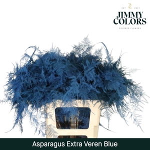 Aspa extra veren Blue