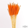 Dried Soft Silk Worms Orange Bunch