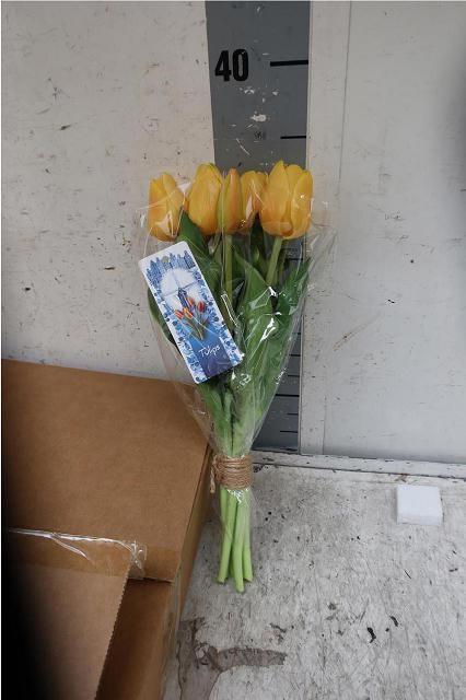 <h4>HUIS EN TUINDECO H%</h4>