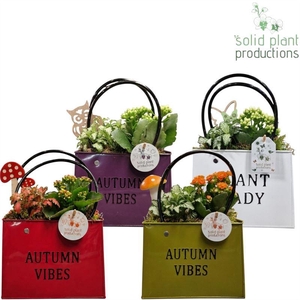arr2 SPP ZINK AUTUMN BAG MIX