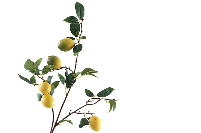 <h4>Citrus Yellow</h4>